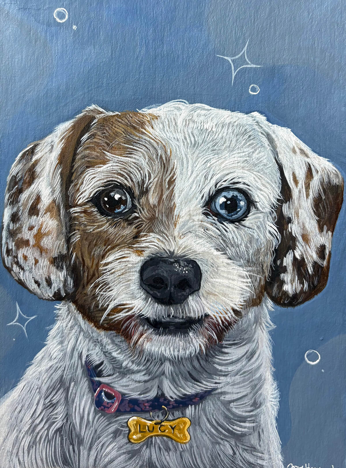 Pet Portrait - Lucy